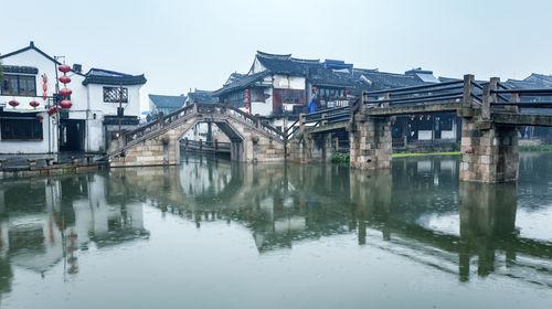 枕上书:为何帝君会选凤九?知鹤和姬蘅有多笨,凤九就有多聪明!
